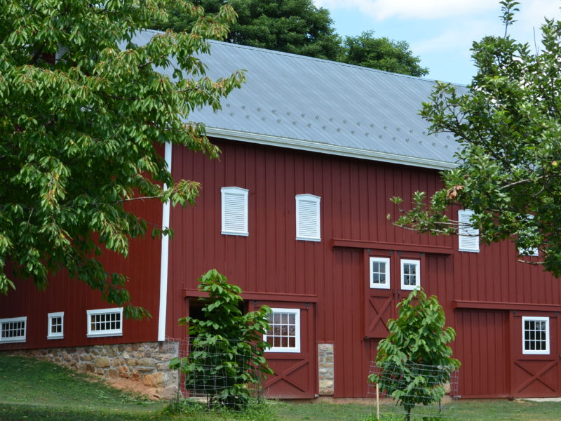 Old Barn Restoration